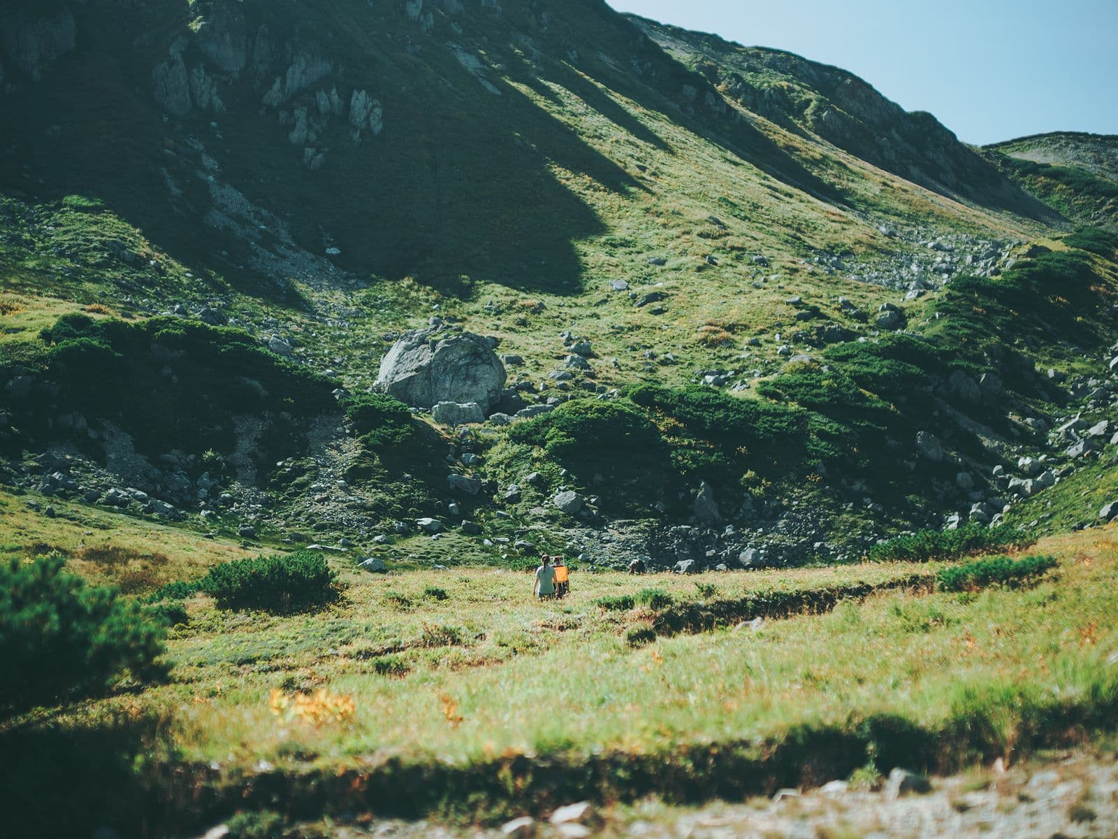 風景と道直し
|三俣山荘の道直しと植生保全