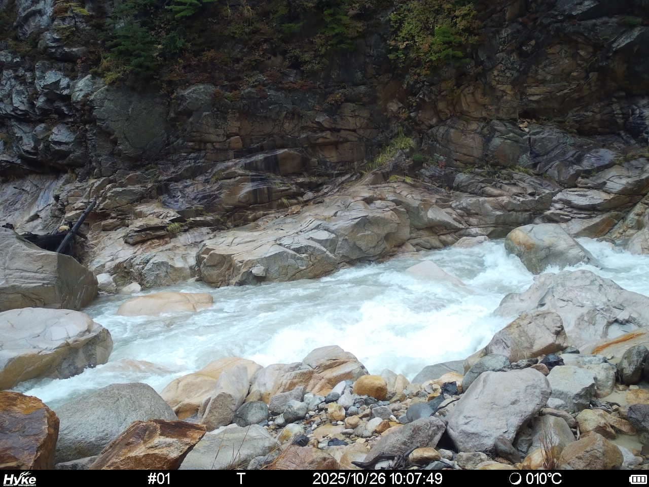 定点カメラ - 増水時