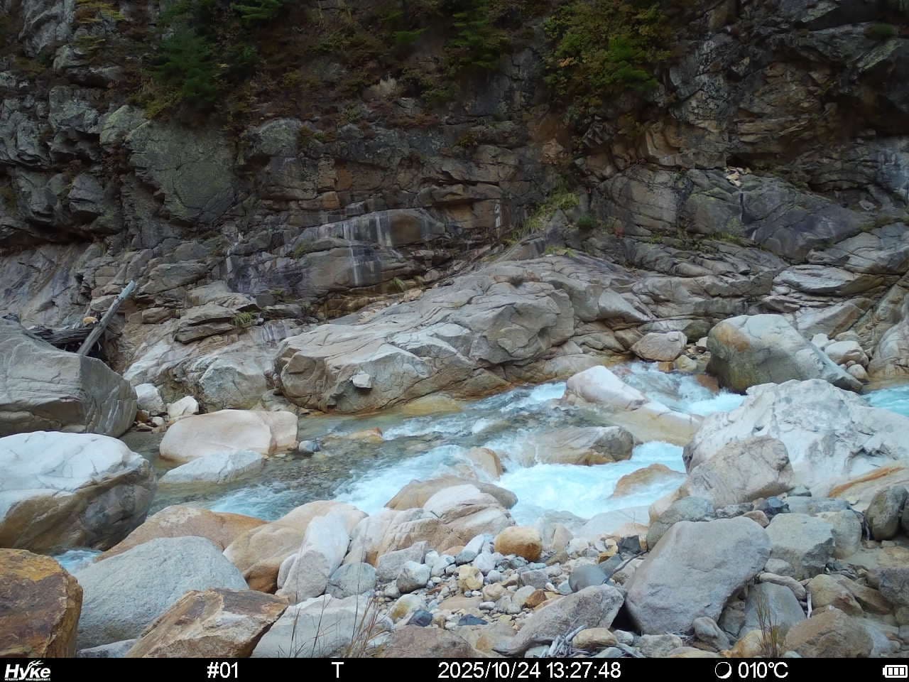 定点カメラ - 平水時