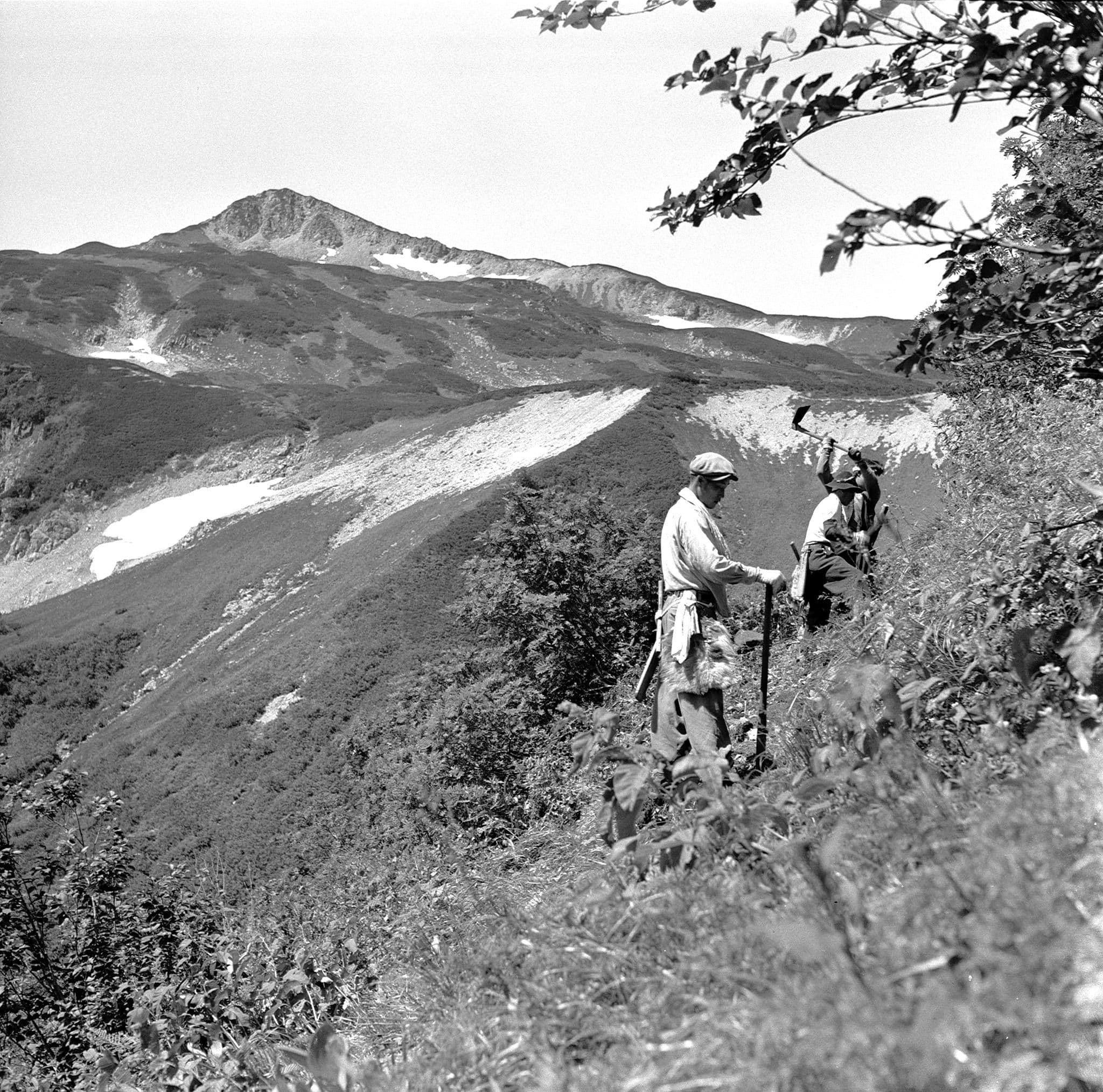 伊藤新道開拓(1950年代前半)