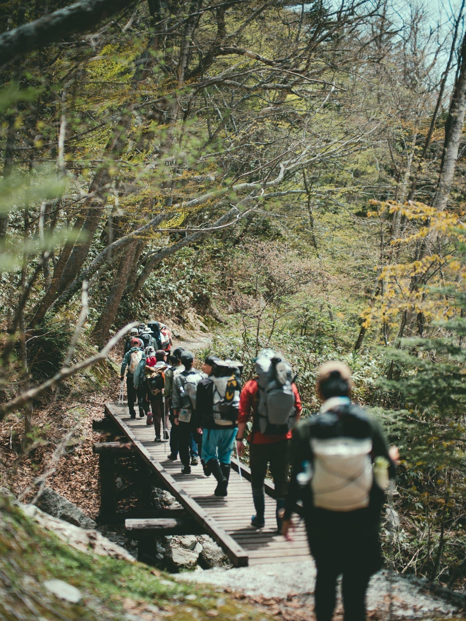 高瀬の森を山荘へ