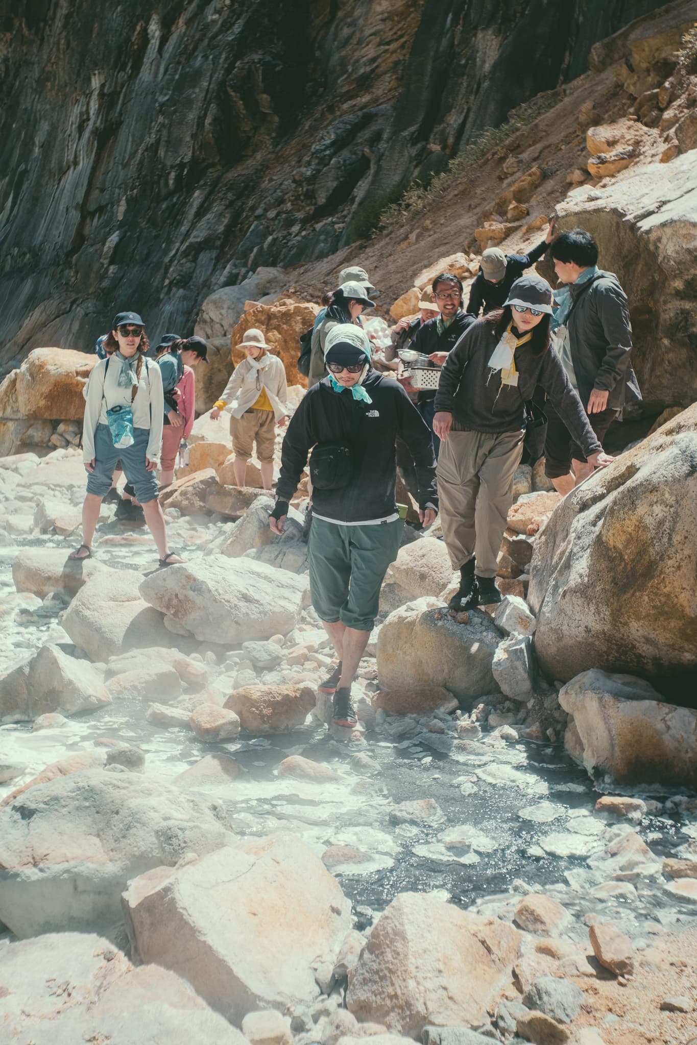 フィールドウォーク - 自然観察