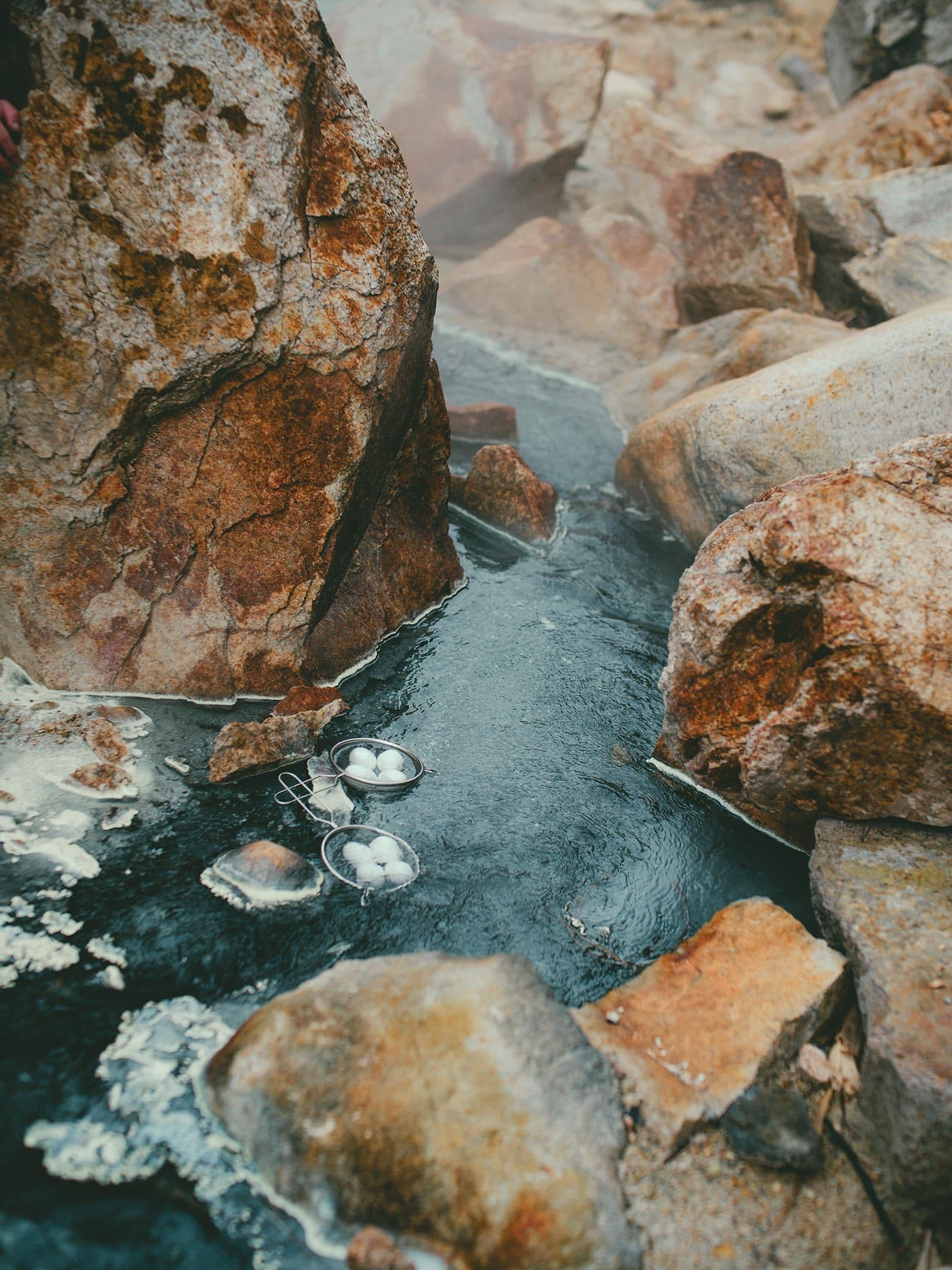 フィールドウォーク - 体験の様子