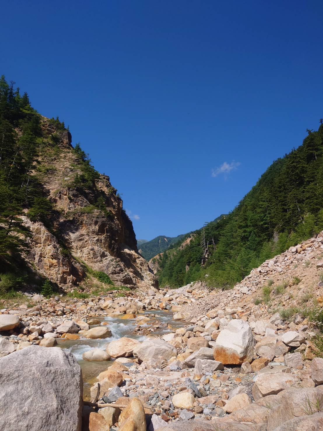 ワリモ沢出合付近