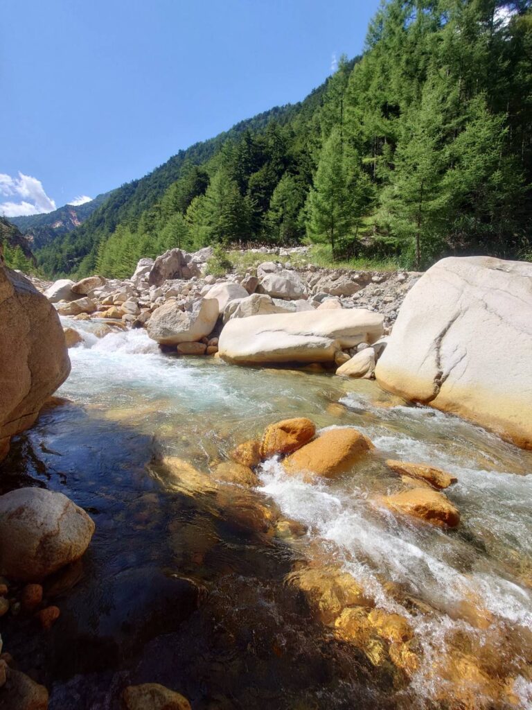 川床が見えるようになってきた