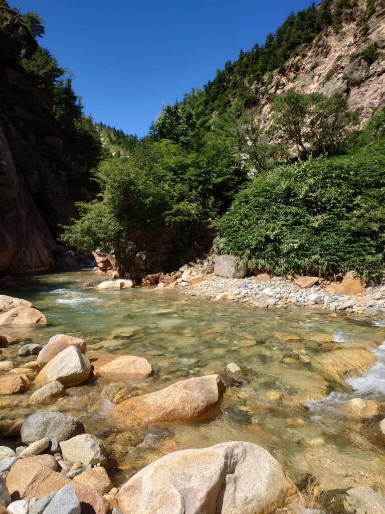 渡渉点を超えると笹薮の高巻きに