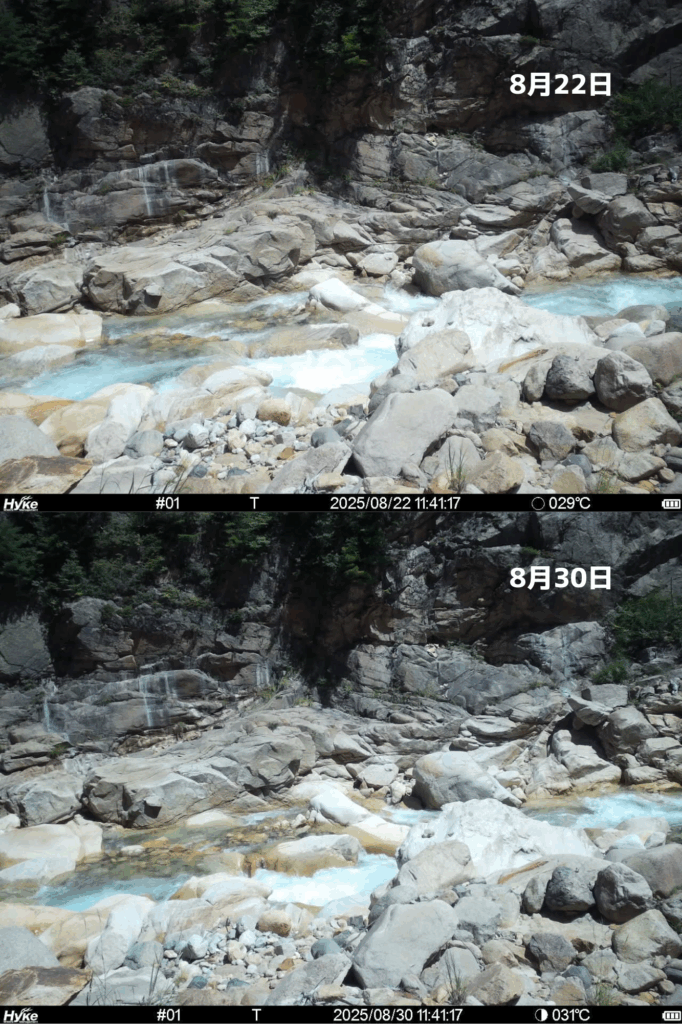 ライブカメラ比較（8月22日・30日）