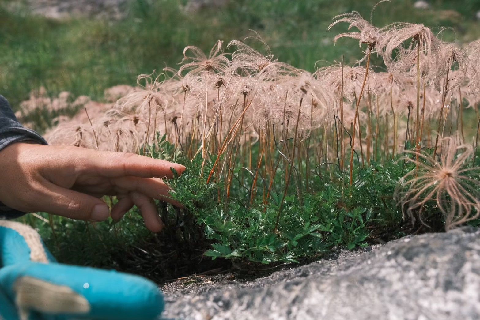 地質や生態系への関心も深まっていく