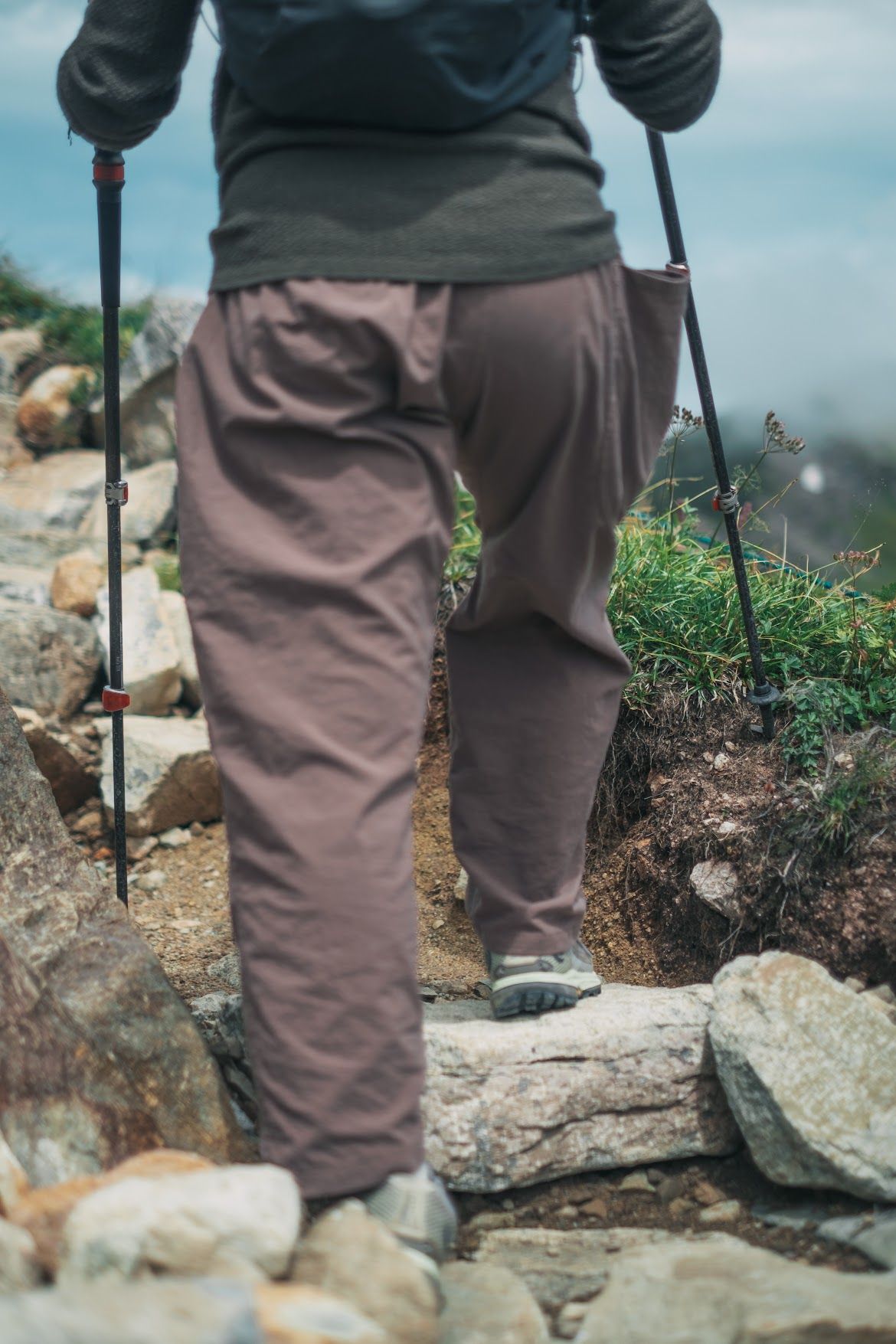 登山道脇の高山植物がトレッキングポールの影響で枯れている