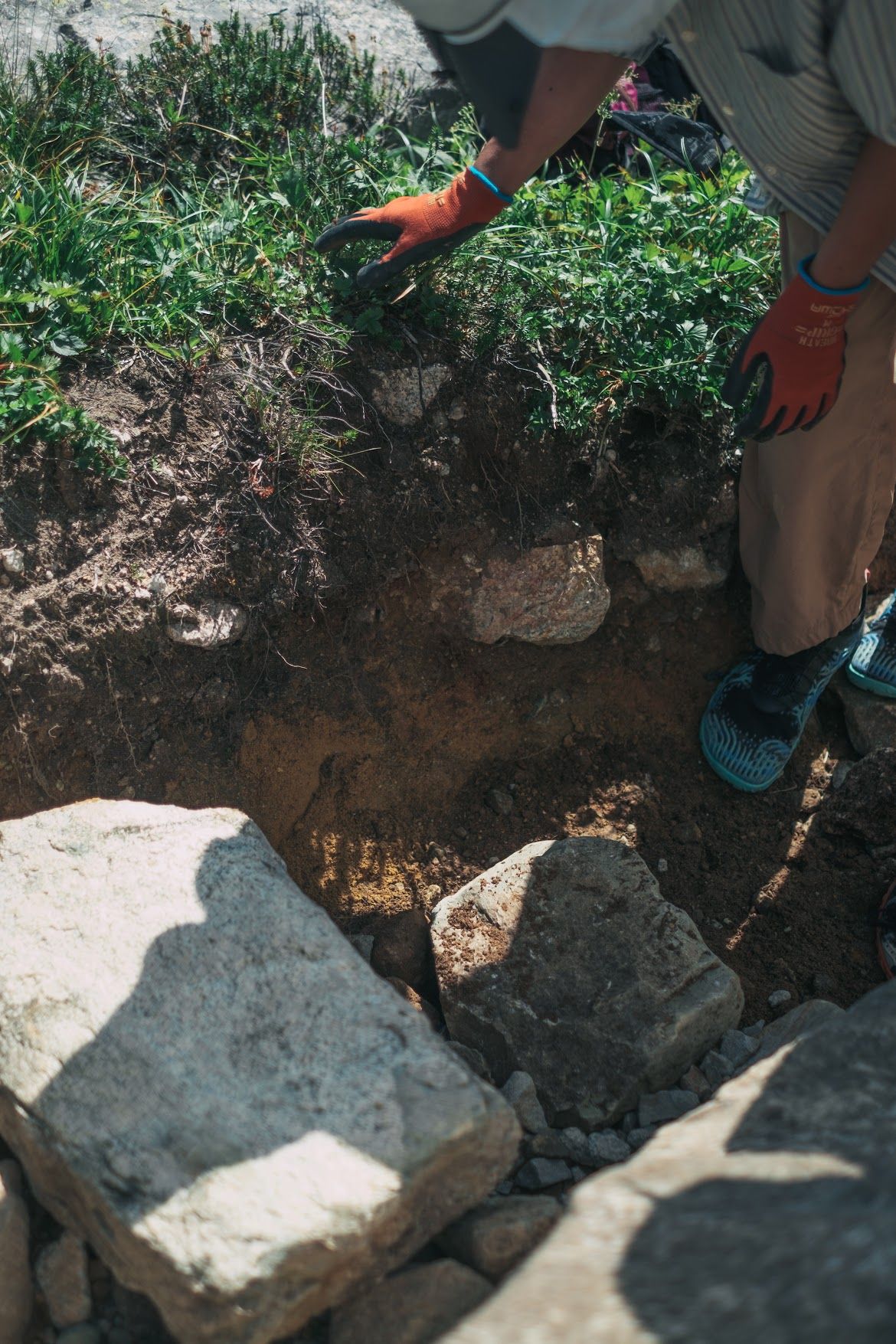 トレッキングポールによる植生への影響
