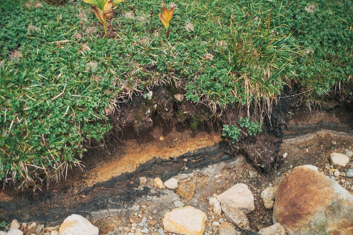 どこにでもありそうな土砂が高山では貴重だ