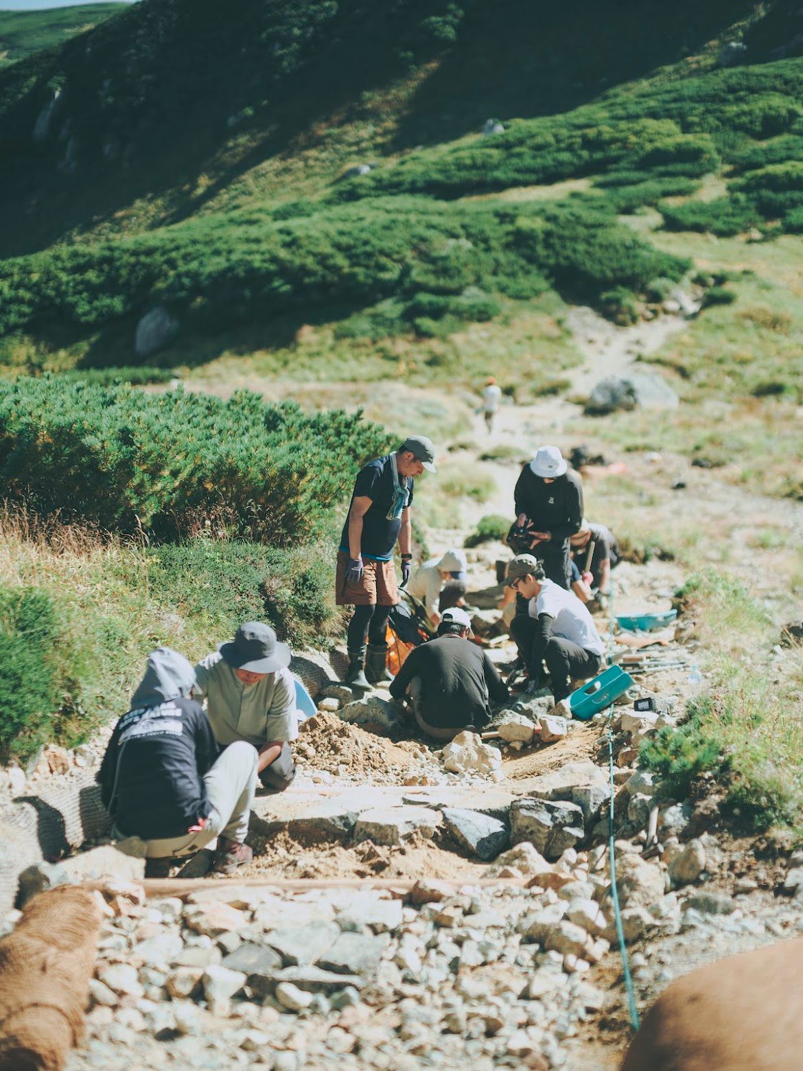 道直し作業の様子