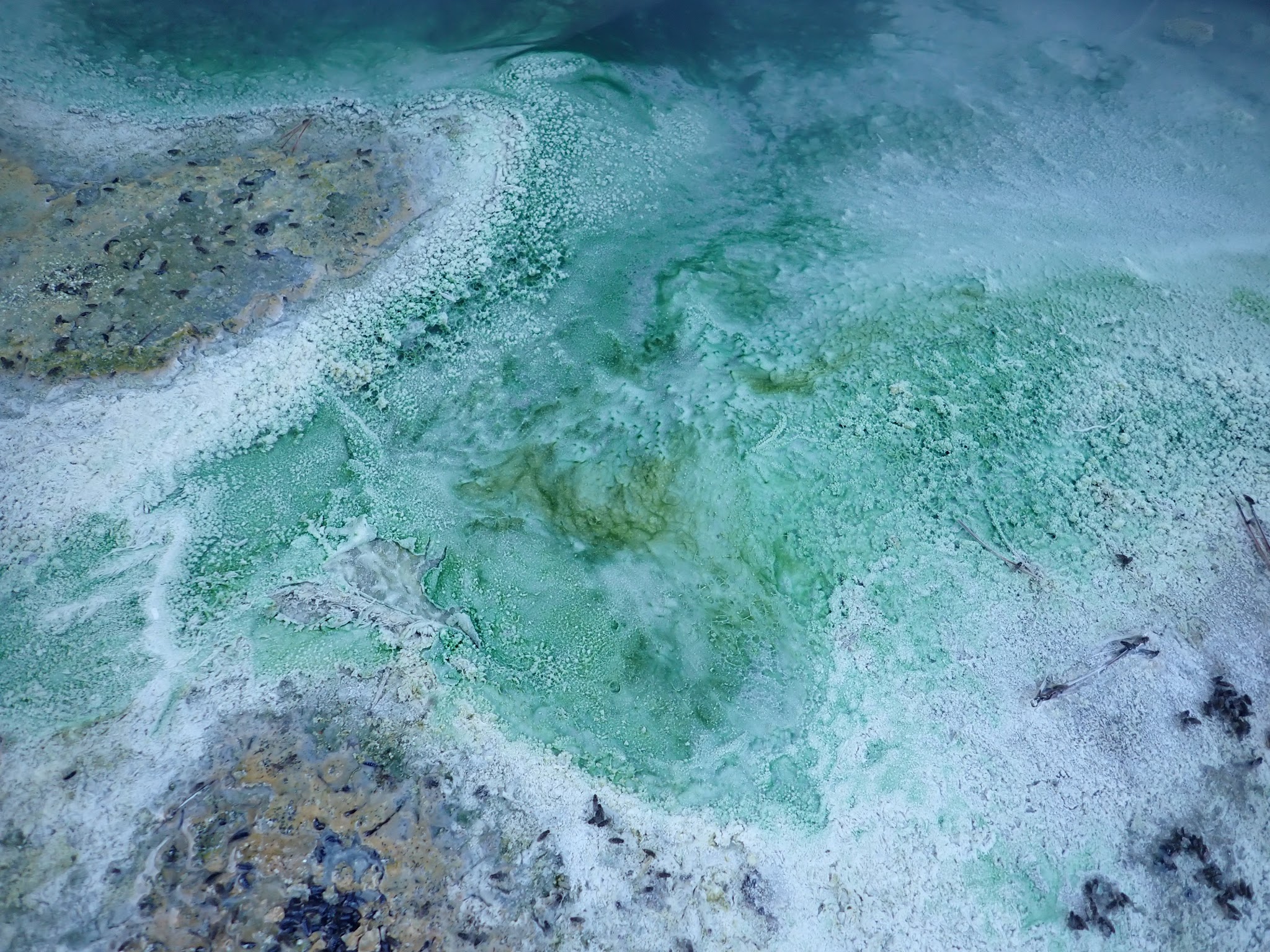 湯俣の温泉に広がる硫黄芝とエメラルド色の湯